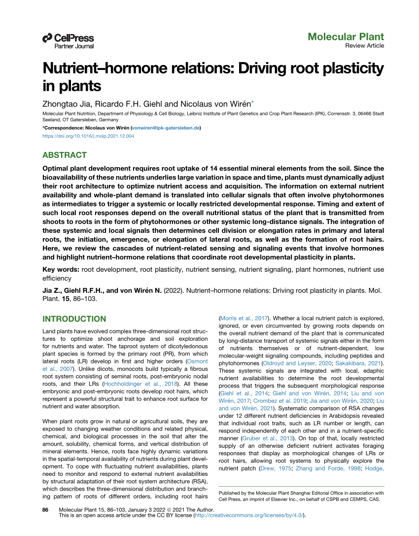 pdf-nutrient-hormone-relations-driving-root-plasticity-in-plants