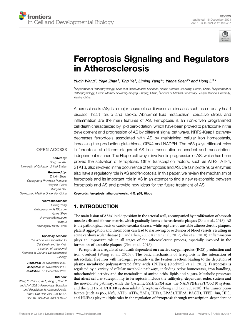 PDF) Ferroptosis Signaling and Regulators in Atherosclerosis