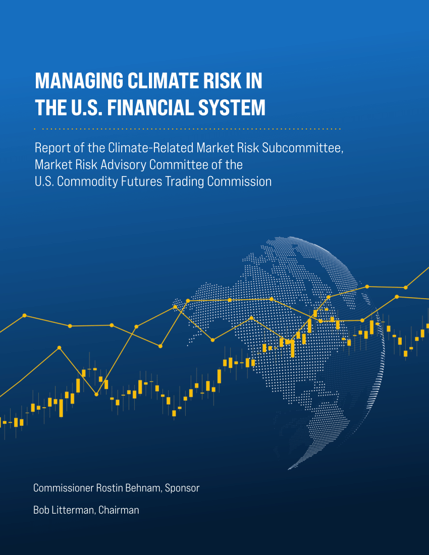 Изменение климата 2024 год. A climate of risk.
