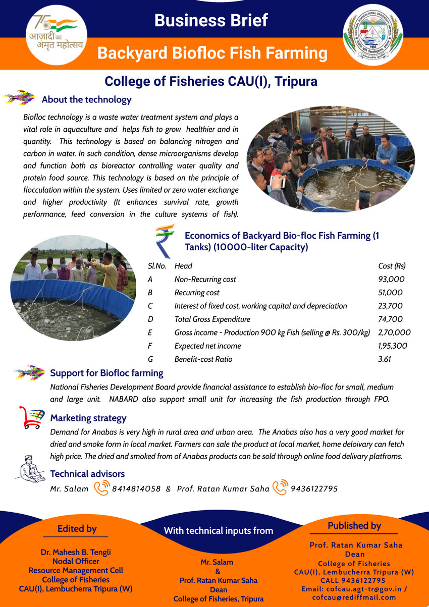biofloc fish farming business plan