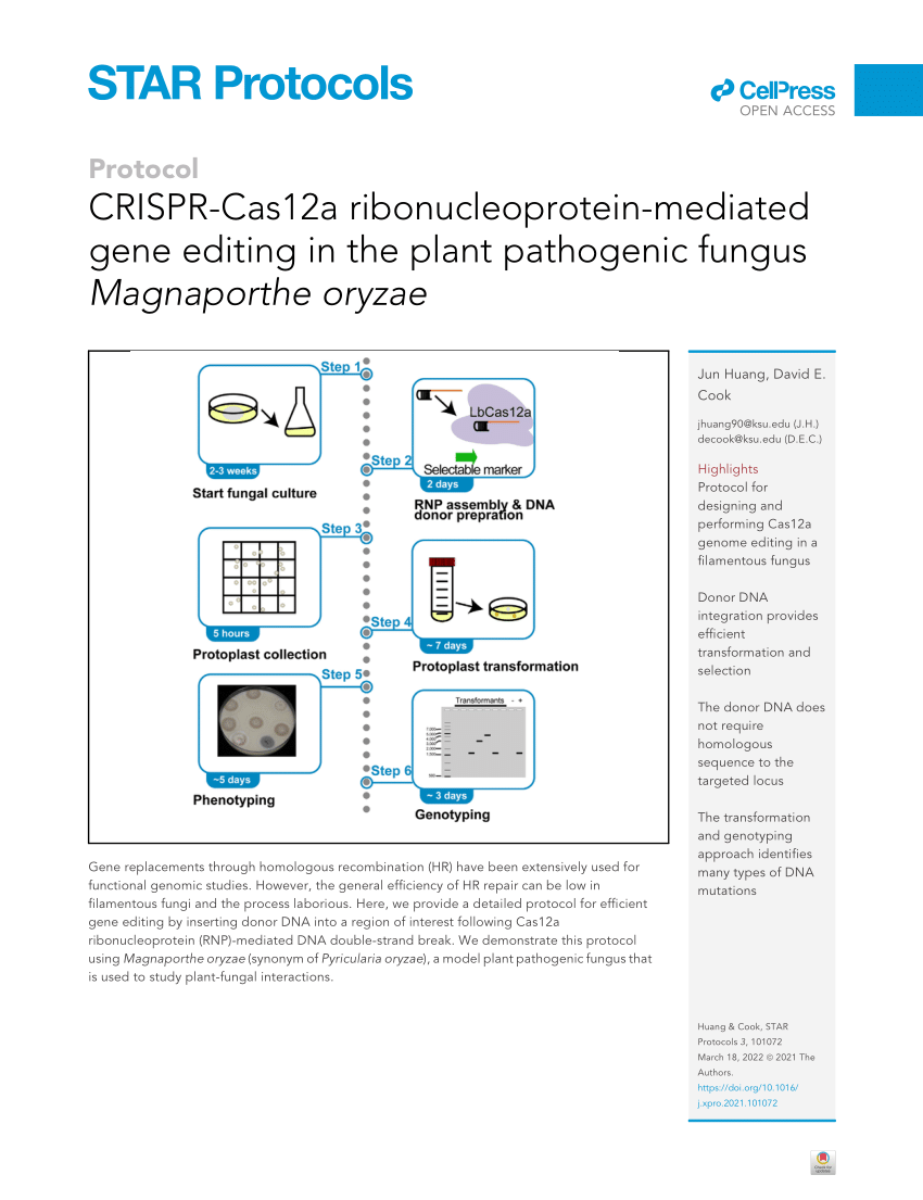 CRISPR-Cas12a induced DNA double-strand breaks are repaired by multiple  pathways with different mutation profiles in Magnaporthe oryzae