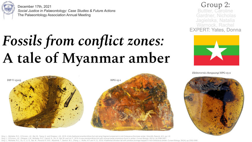 Violent conflict in Myanmar linked to boom in fossil amber research, study  claims, Science