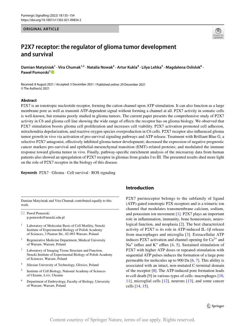 https://i1.rgstatic.net/publication/357414263_P2X7_receptor_the_regulator_of_glioma_tumor_development_and_survival/links/61cd3da0e669ee0f5c72d92e/largepreview.png