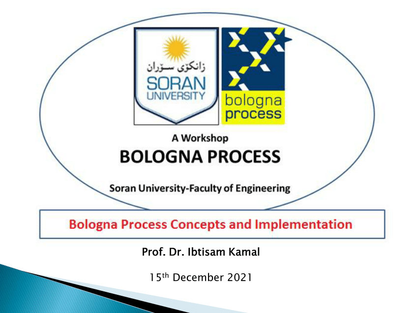 bologna process phd