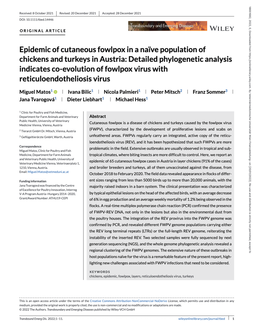 (PDF) Epidemic of cutaneous fowlpox in a naïve population of chickens ...