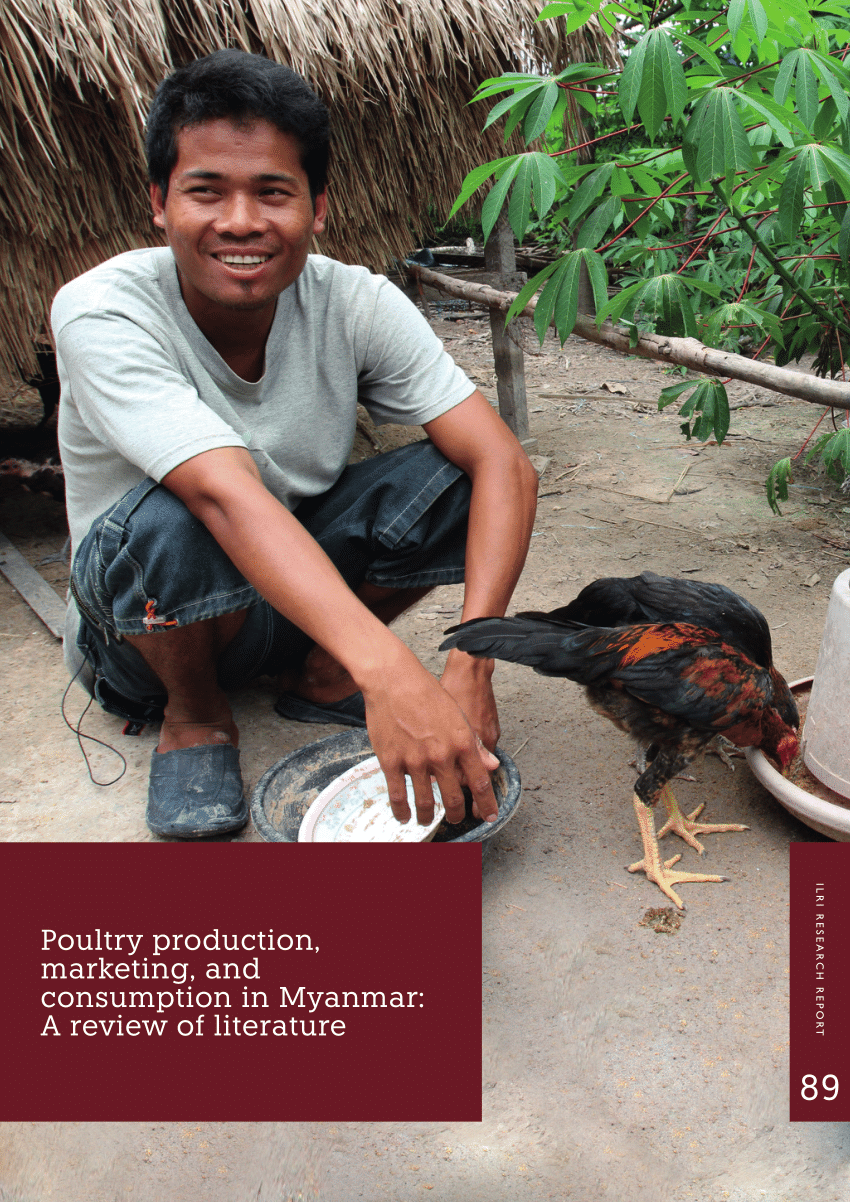literature review on poultry farming pdf