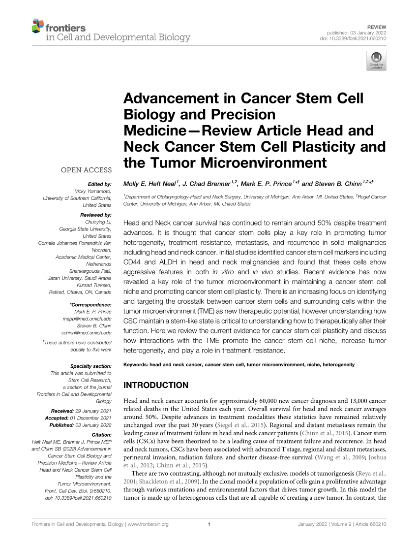 research article on cancer stem cell