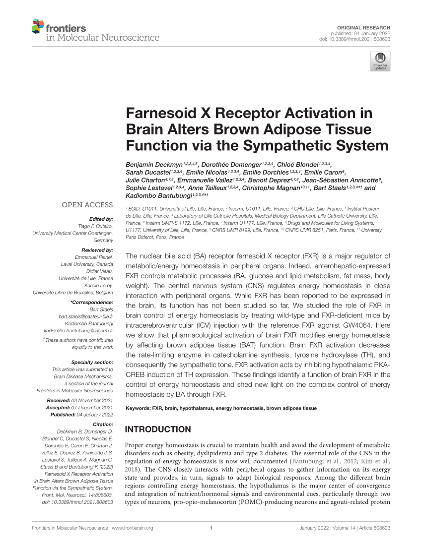 Pdf Farnesoid X Receptor Activation In Brain Alters Brown Adipose