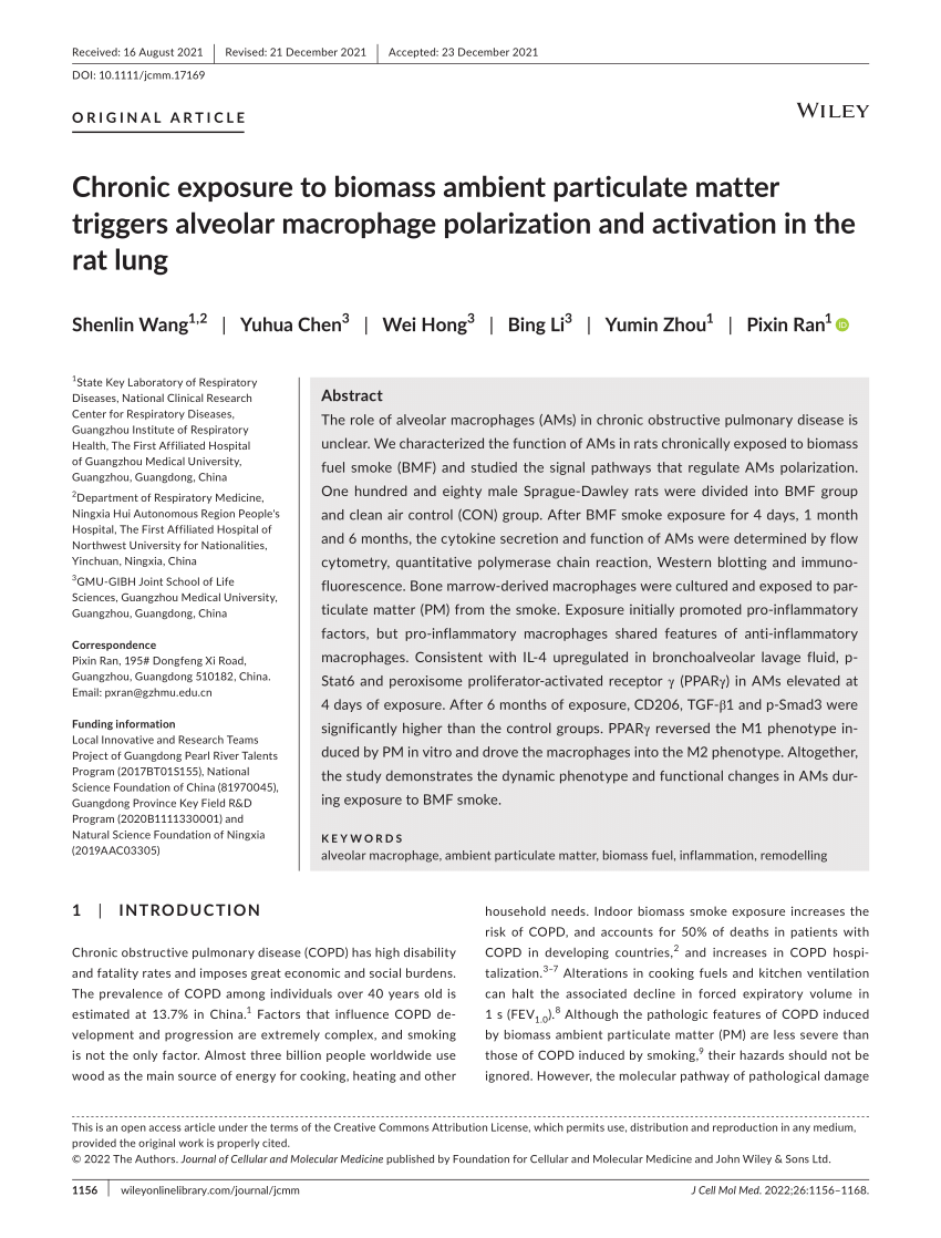 PDF Chronic exposure to biomass ambient particulate matter  