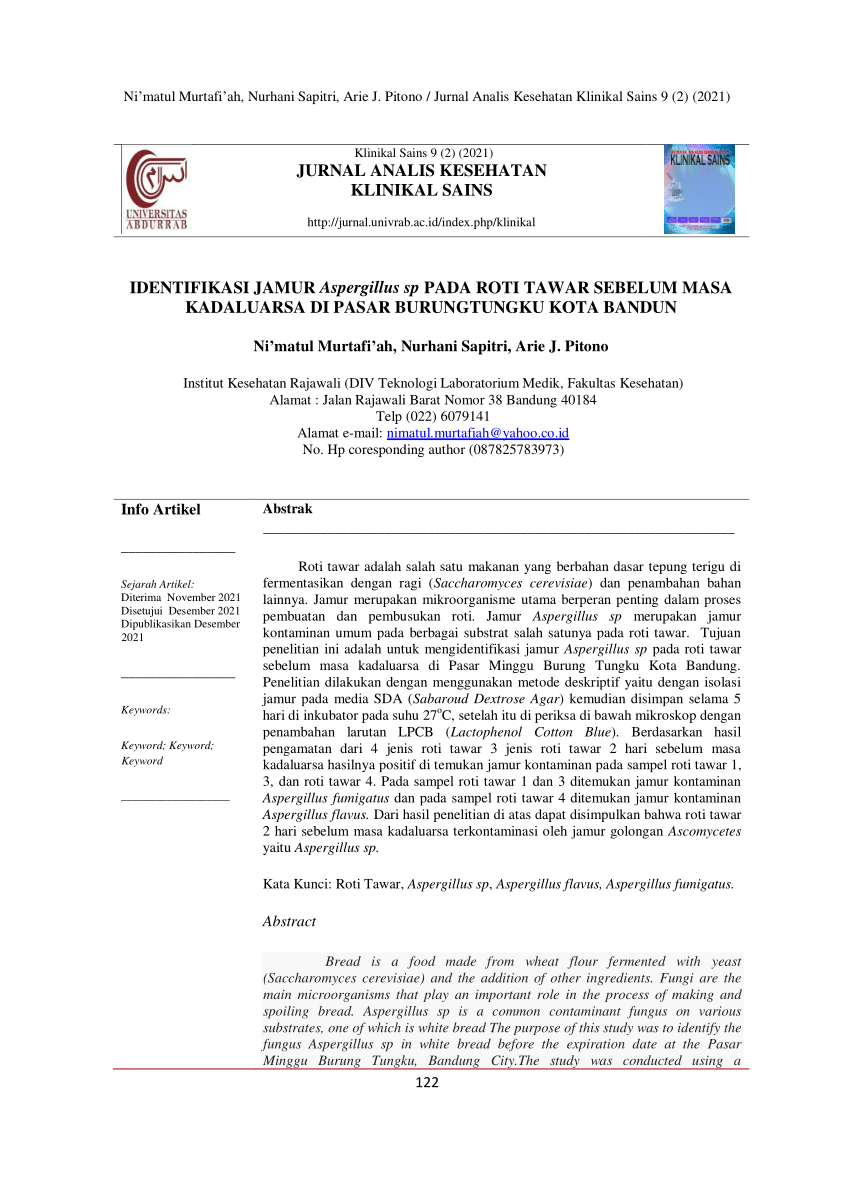 Pdf Identifikasi Jamur Aspergillus Sp Pada Roti Tawar Sebelum Masa