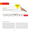 Preview image for Tórtola Europea (Streptopelia turtur) ficha Libro Rojo