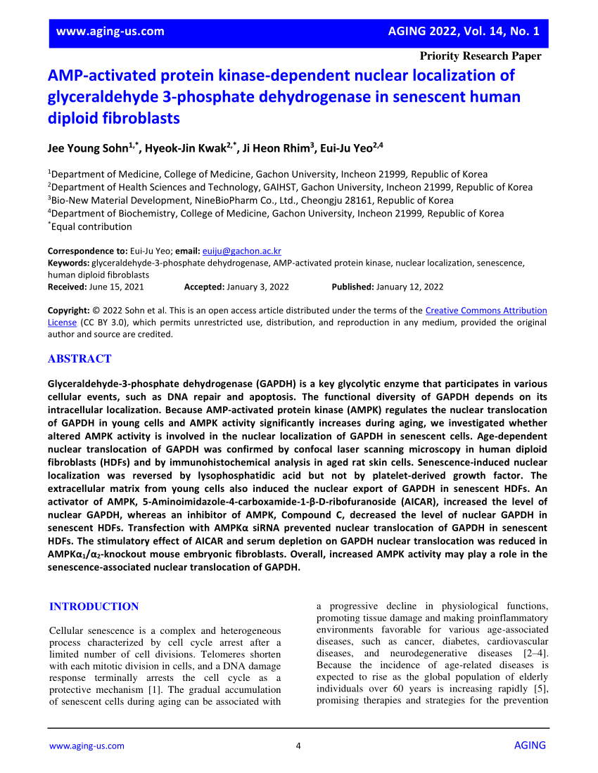 PDF) AMP-activated protein kinase-dependent nuclear localization 