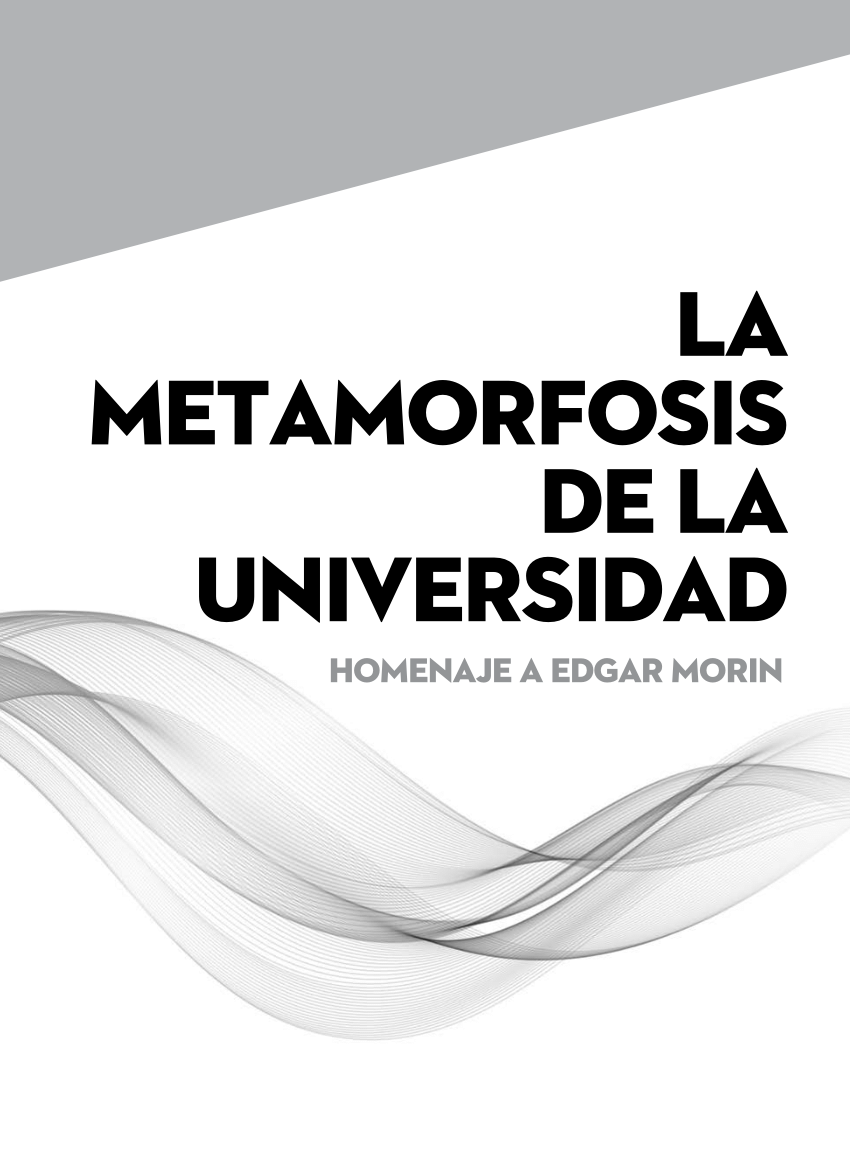 suspicaz Iniciativa emoción PDF) La Metamorfosis de la Universidad