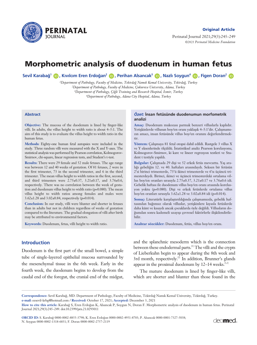 PDF Morphometric analysis of duodenum in human fetus 