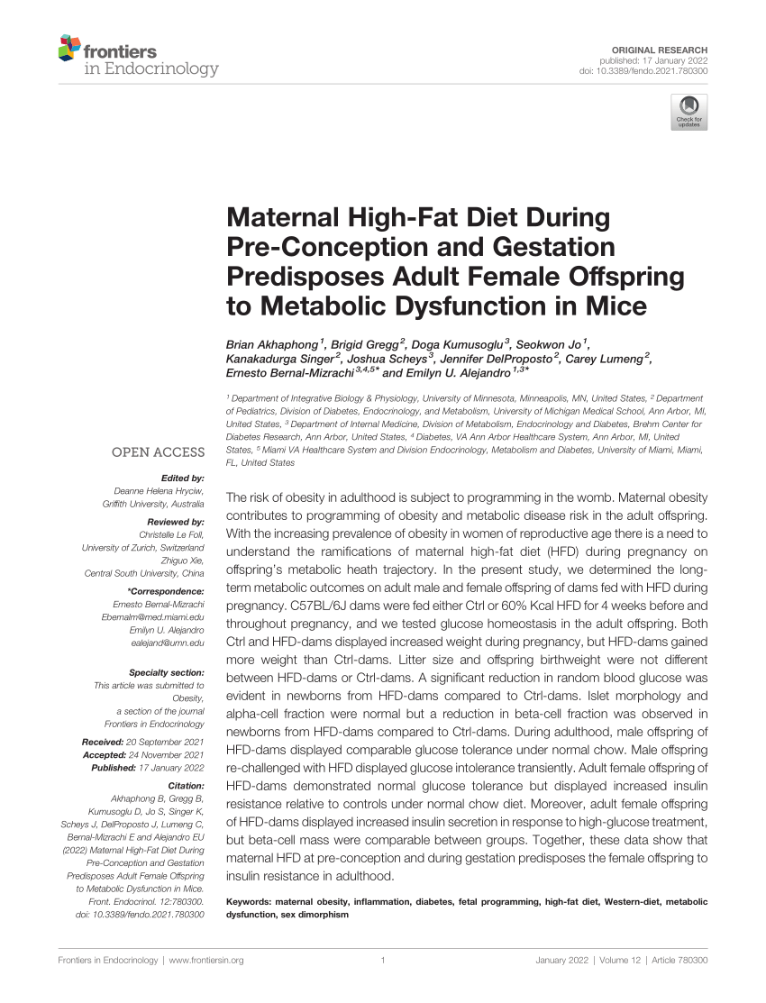 Pdf Maternal High Fat Diet During Pre Conception And Gestation Predisposes Adult Female 8297