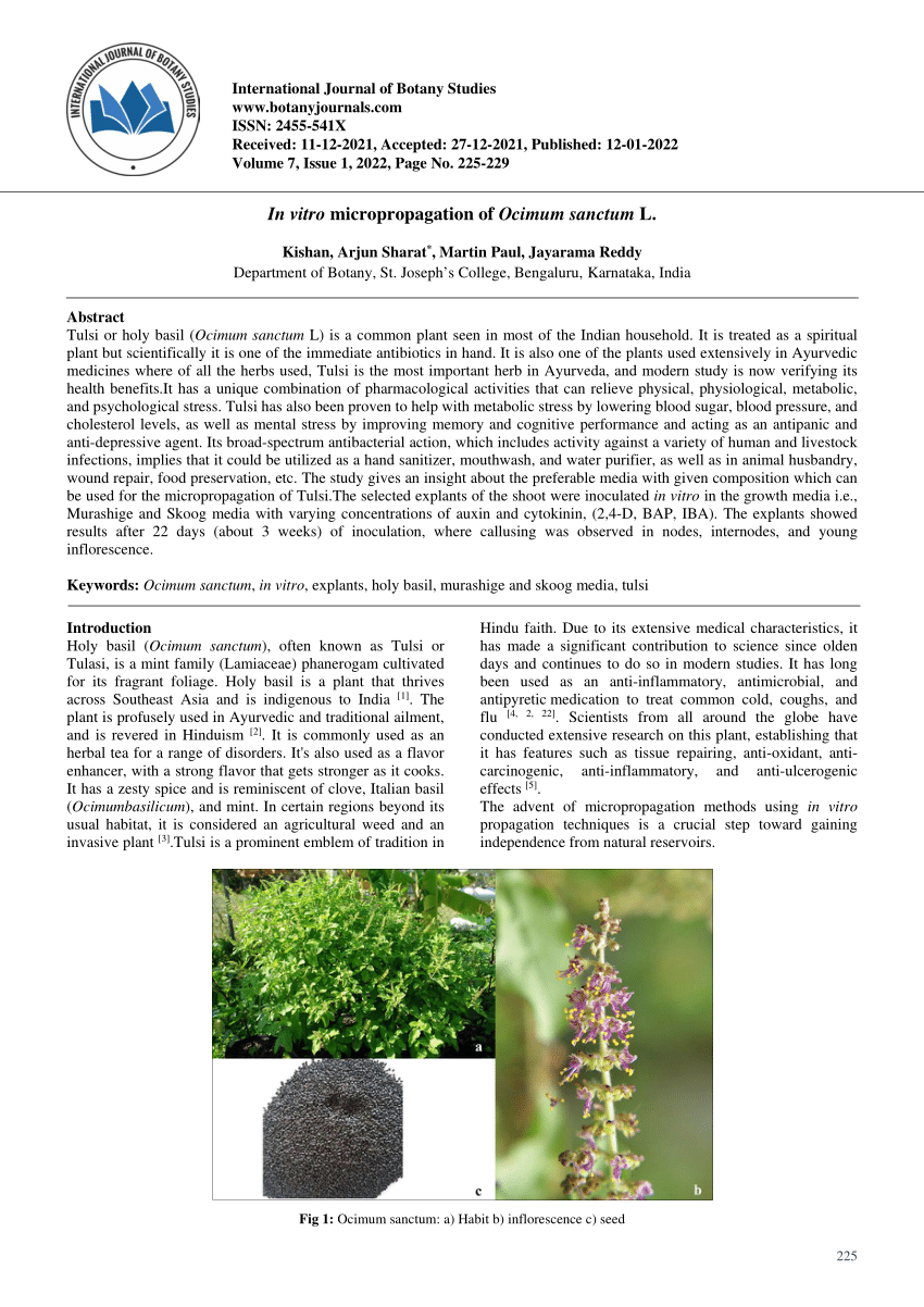 PDF In vitro micropropagation of Ocimum sanctum L