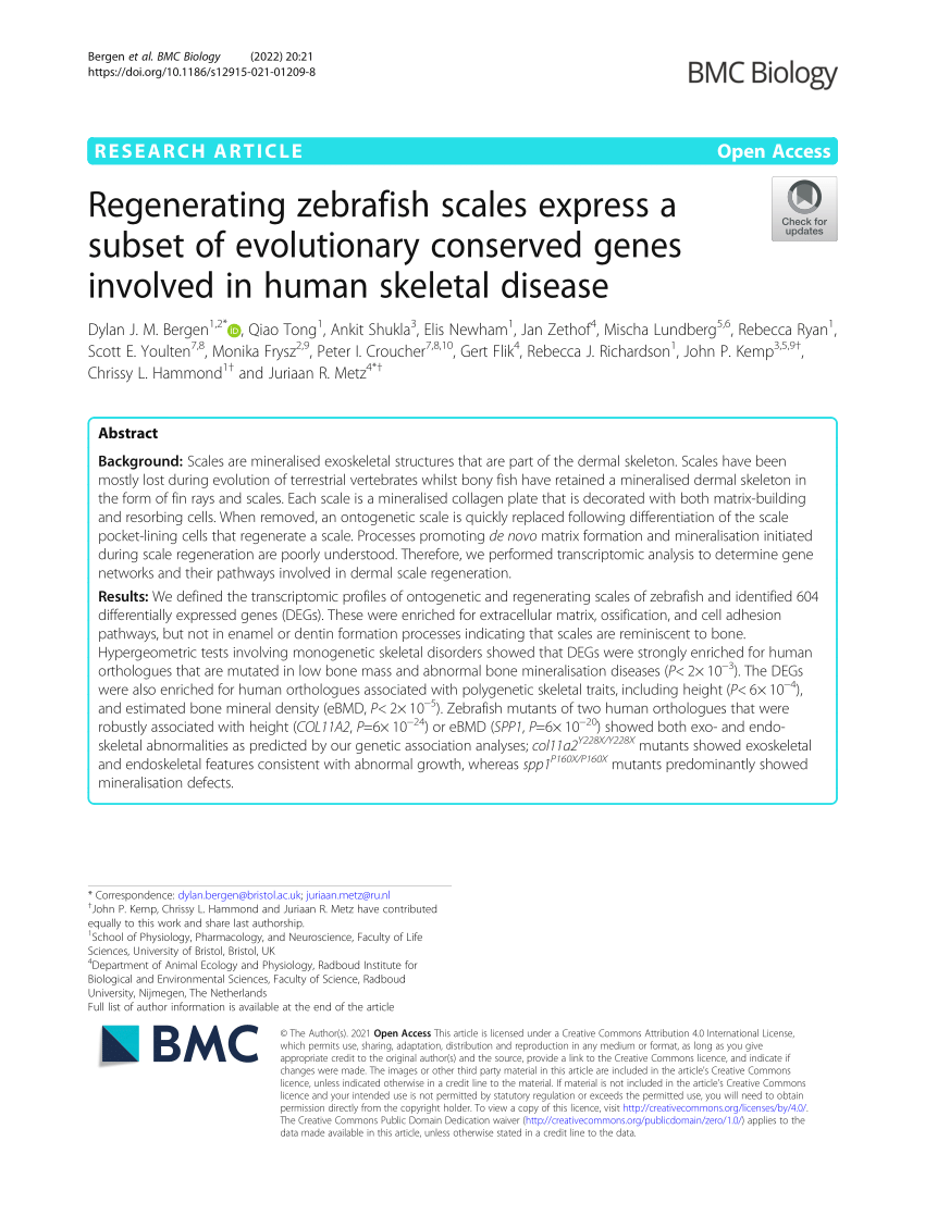 PDF) Regenerating zebrafish scales express a subset of 