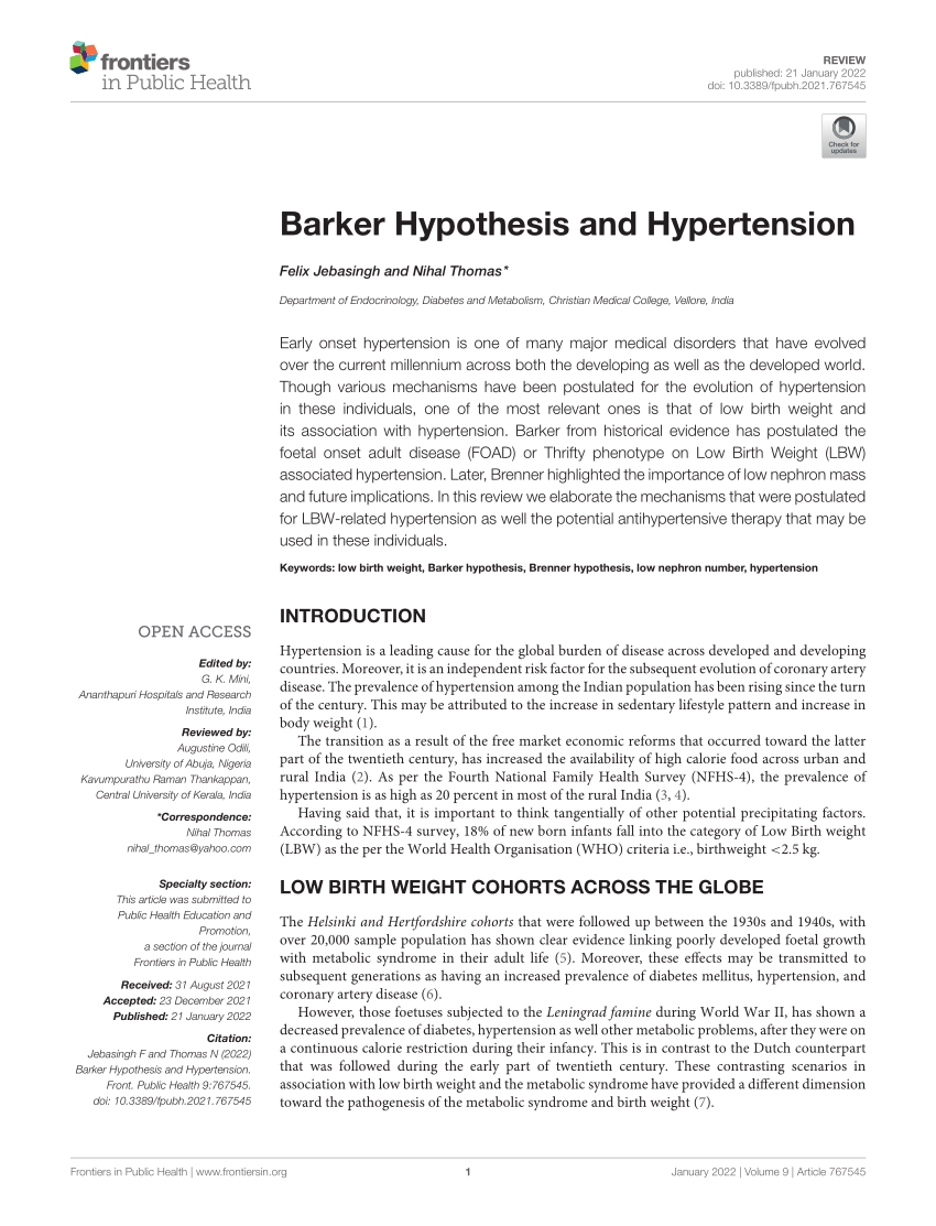 hypothesis on hypertension