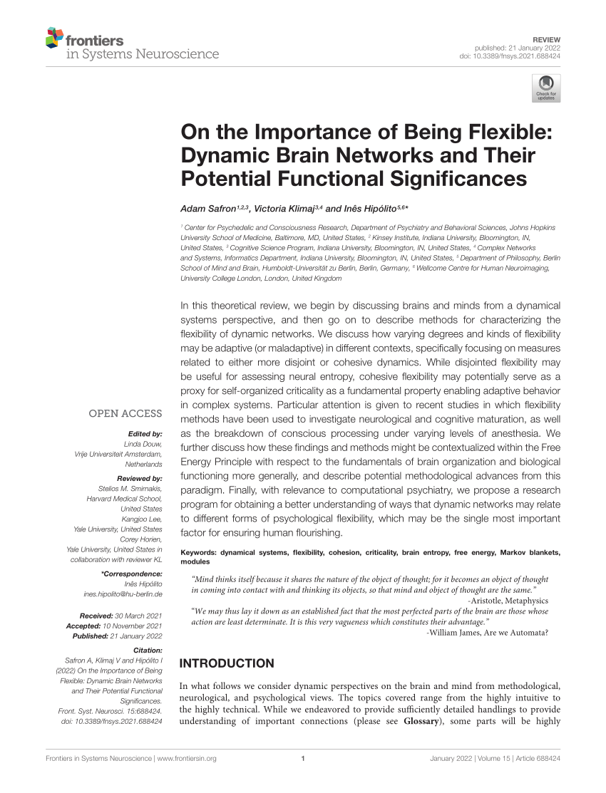 PDF) On the Importance of Being Flexible: Dynamic Brain Networks and Their  Potential Functional Significances