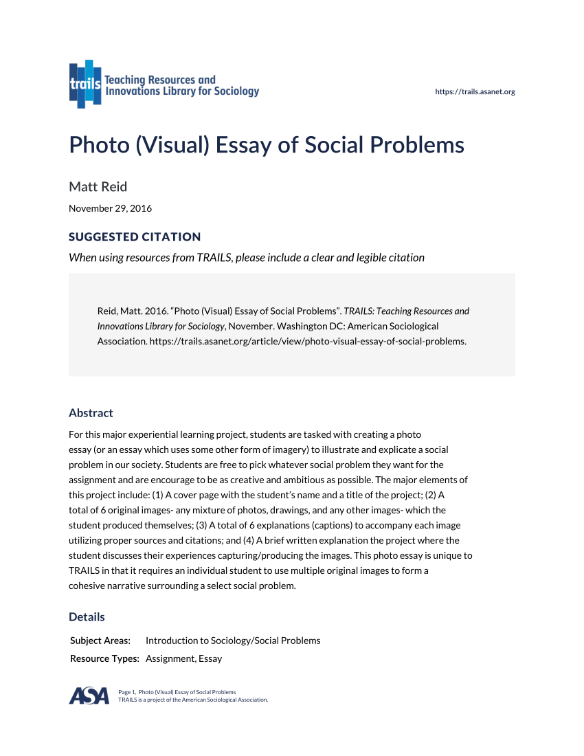 essay about social problems in the world