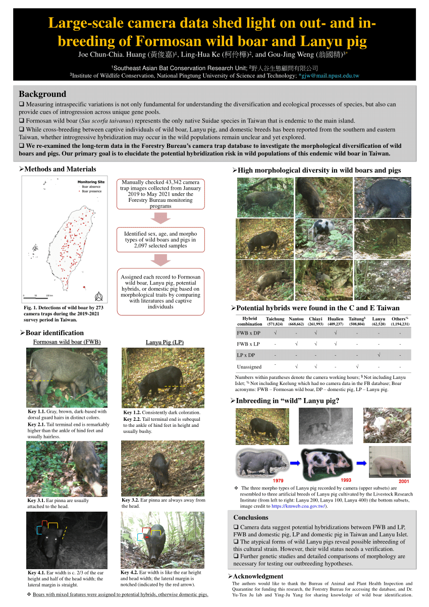 PDF) Large-scale camera data shed light on out- and in-breeding of Formosan  wild boar and Lanyu pig