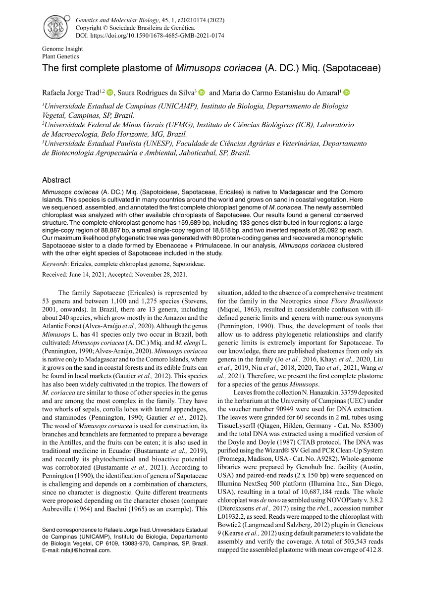 PDF) The first complete plastome of Mimusops coriacea (A. DC.) Miq 