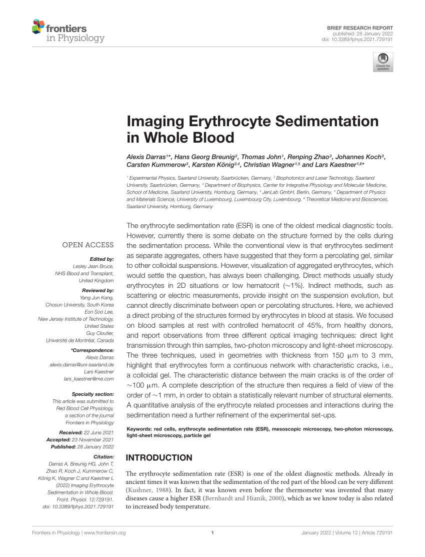 Best Erythrocyte Sedimentation Rate Royalty-Free Images, Stock Photos &  Pictures