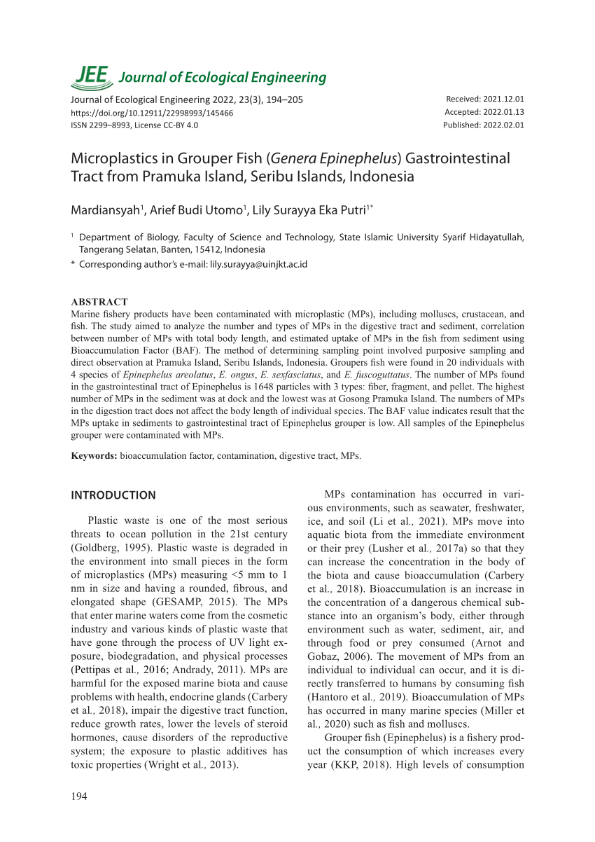 PDF) Microplastics in Grouper Fish (Genera Epinephelus) Gastrointestinal  Tract from Pramuka Island, Seribu Islands, Indonesia