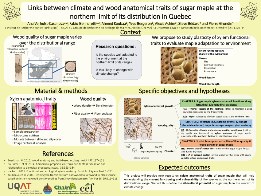 PDF) Links between climate and wood anatomical traits of sugar