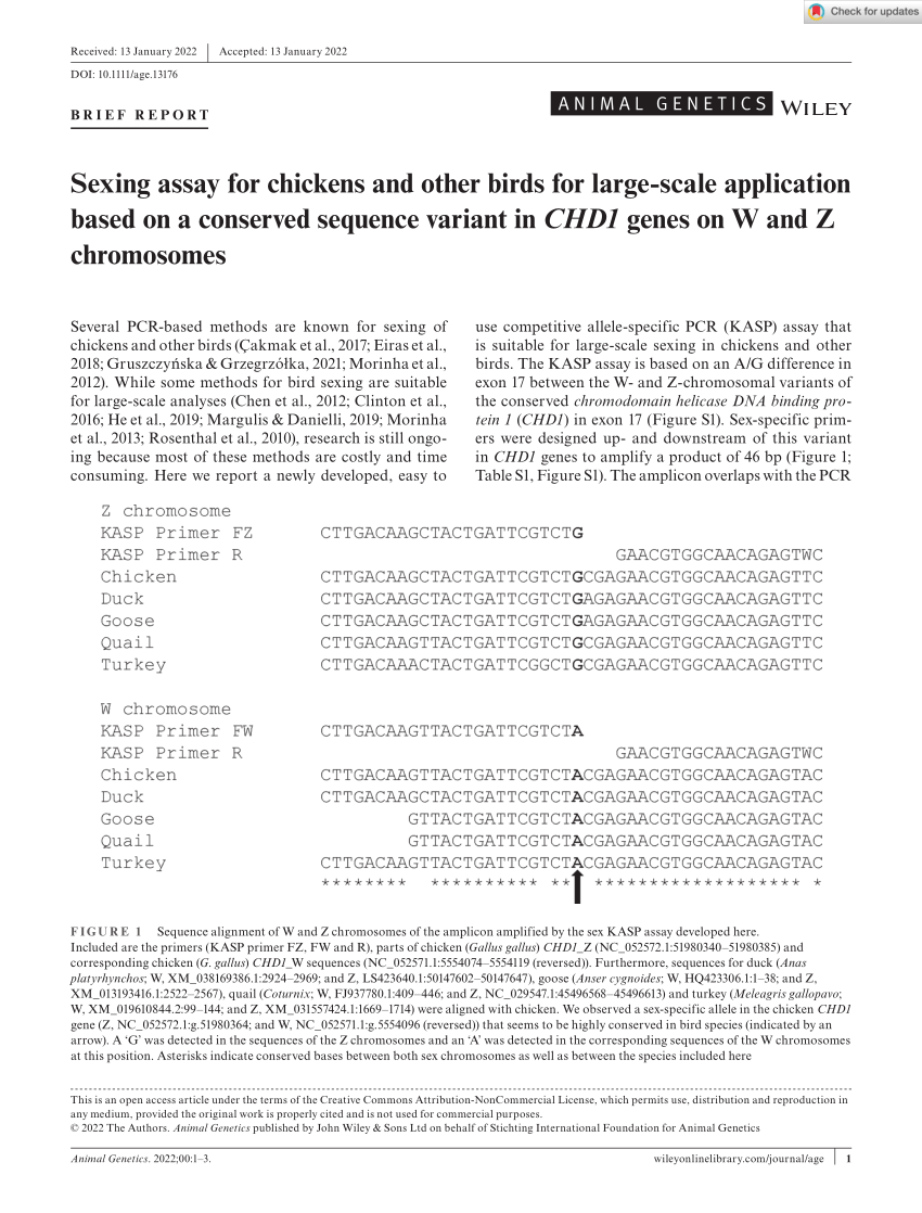 Pdf Sexing Assay For Chickens And Other Birds For Large‐scale Application Based On A Conserved 1620