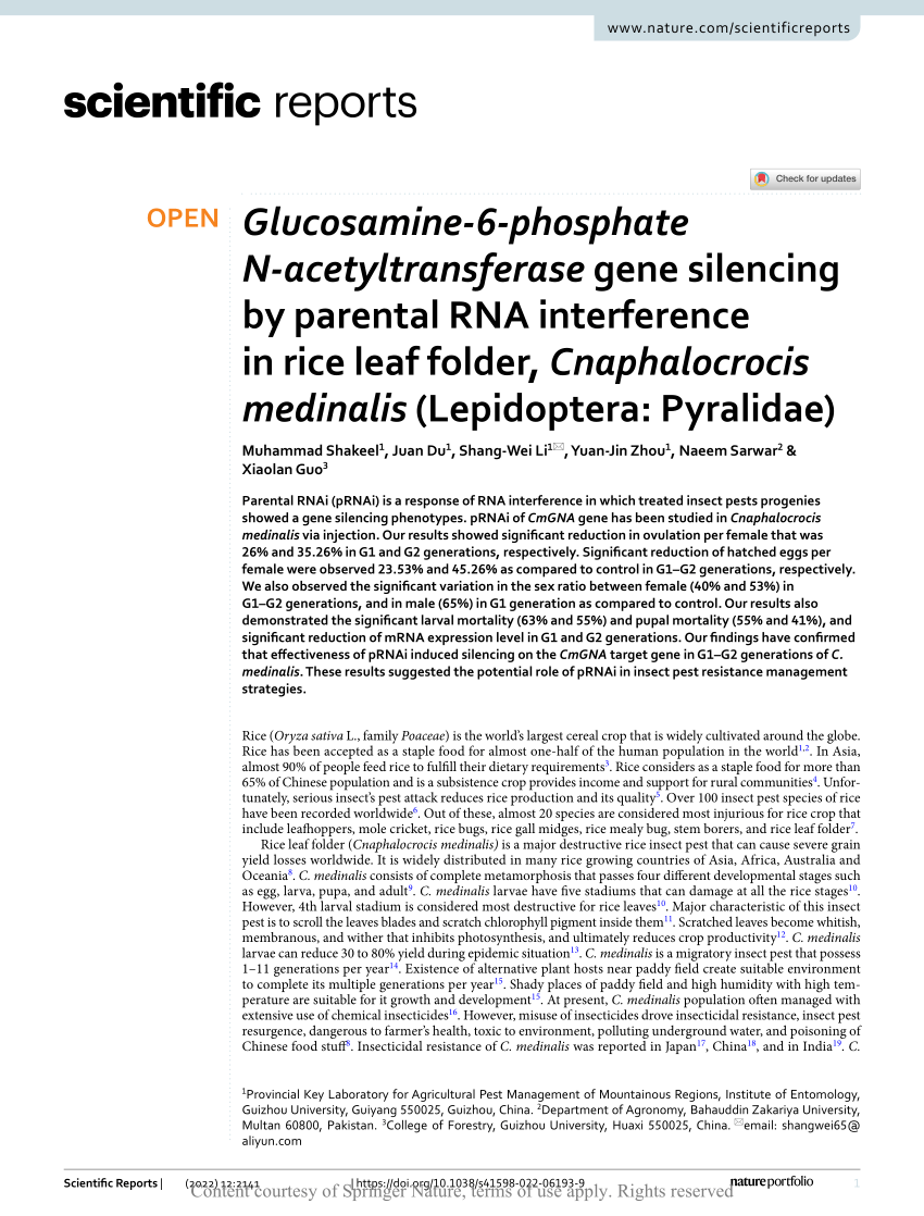 PDF) Glucosamine-6-phosphate N-acetyltransferase gene silencing by 