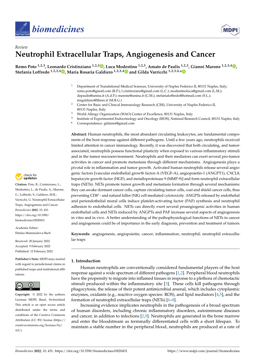 PDF) Neutrophil Extracellular Traps, Angiogenesis and Cancer