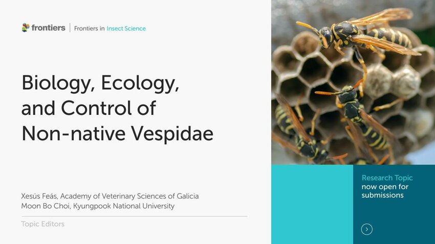 PDF) Biology, Ecology and Control of Non-native Vespidae