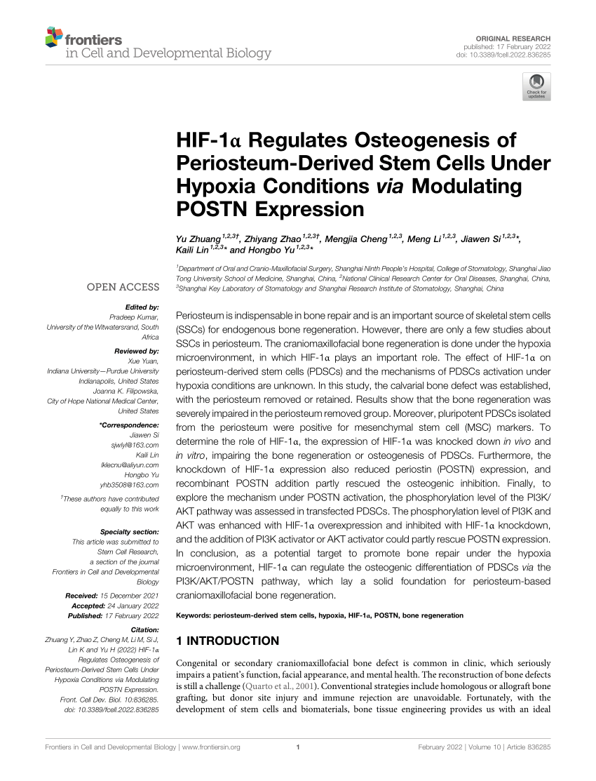 (PDF) HIF1α Regulates Osteogenesis of PeriosteumDerived Stem Cells