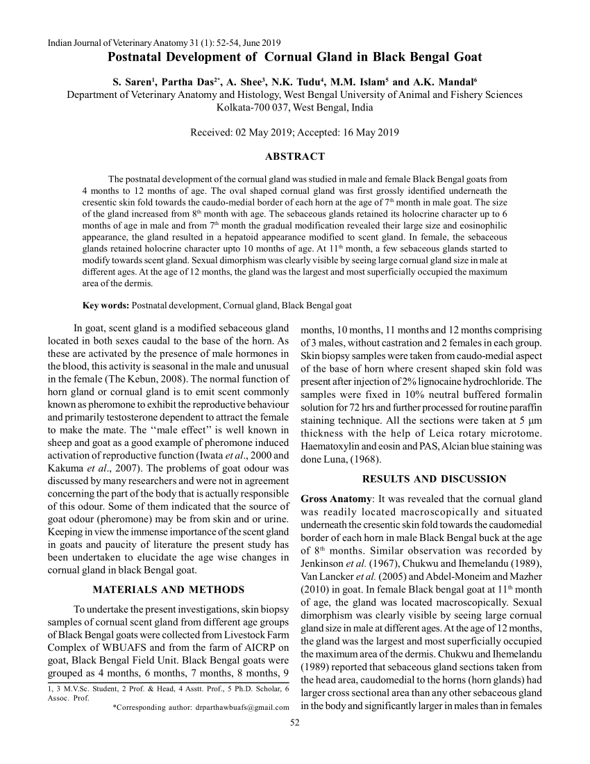 PDF Postnatal Development of Cornual Gland in Black Bengal Goat 