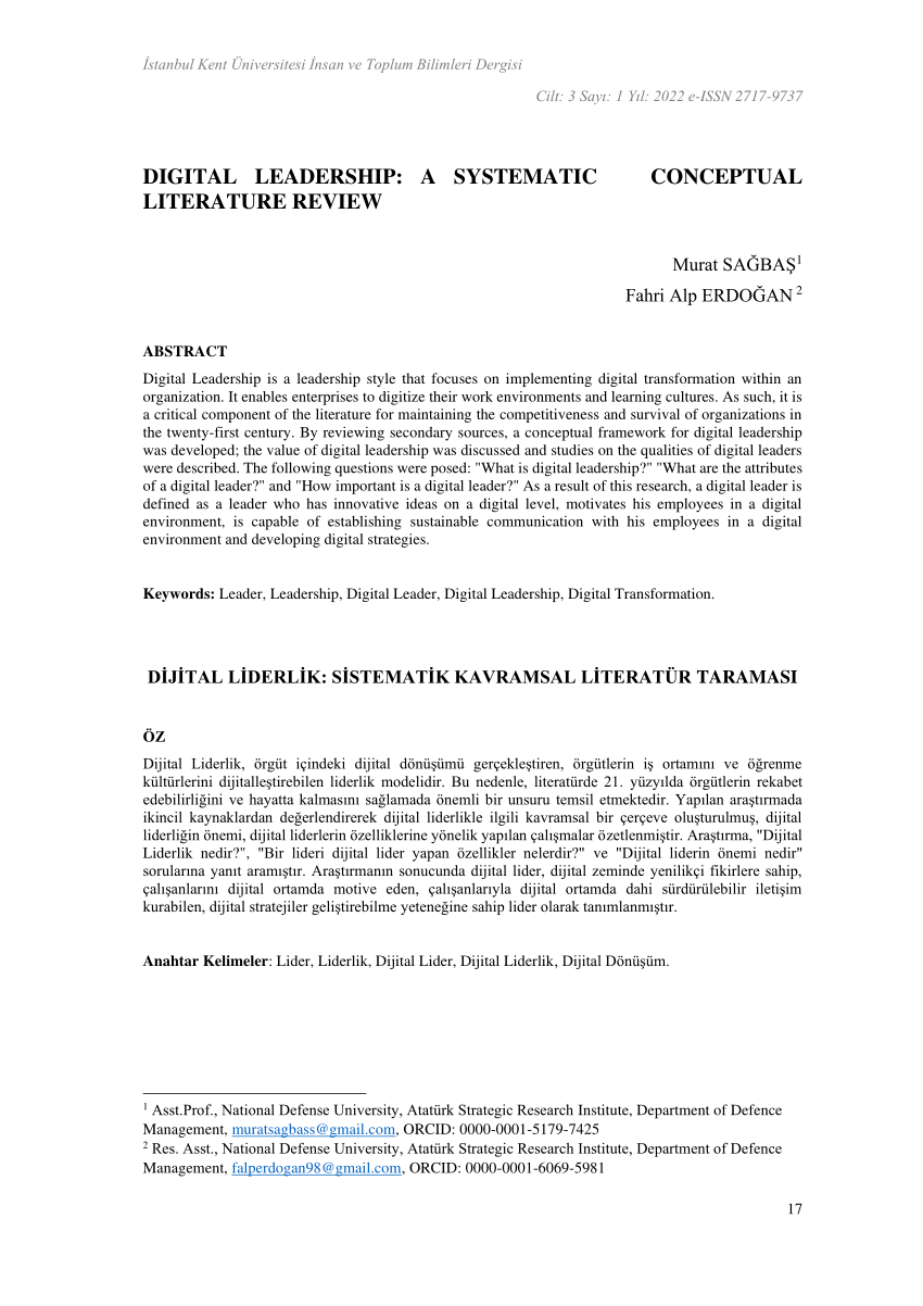 conceptual literature review pdf