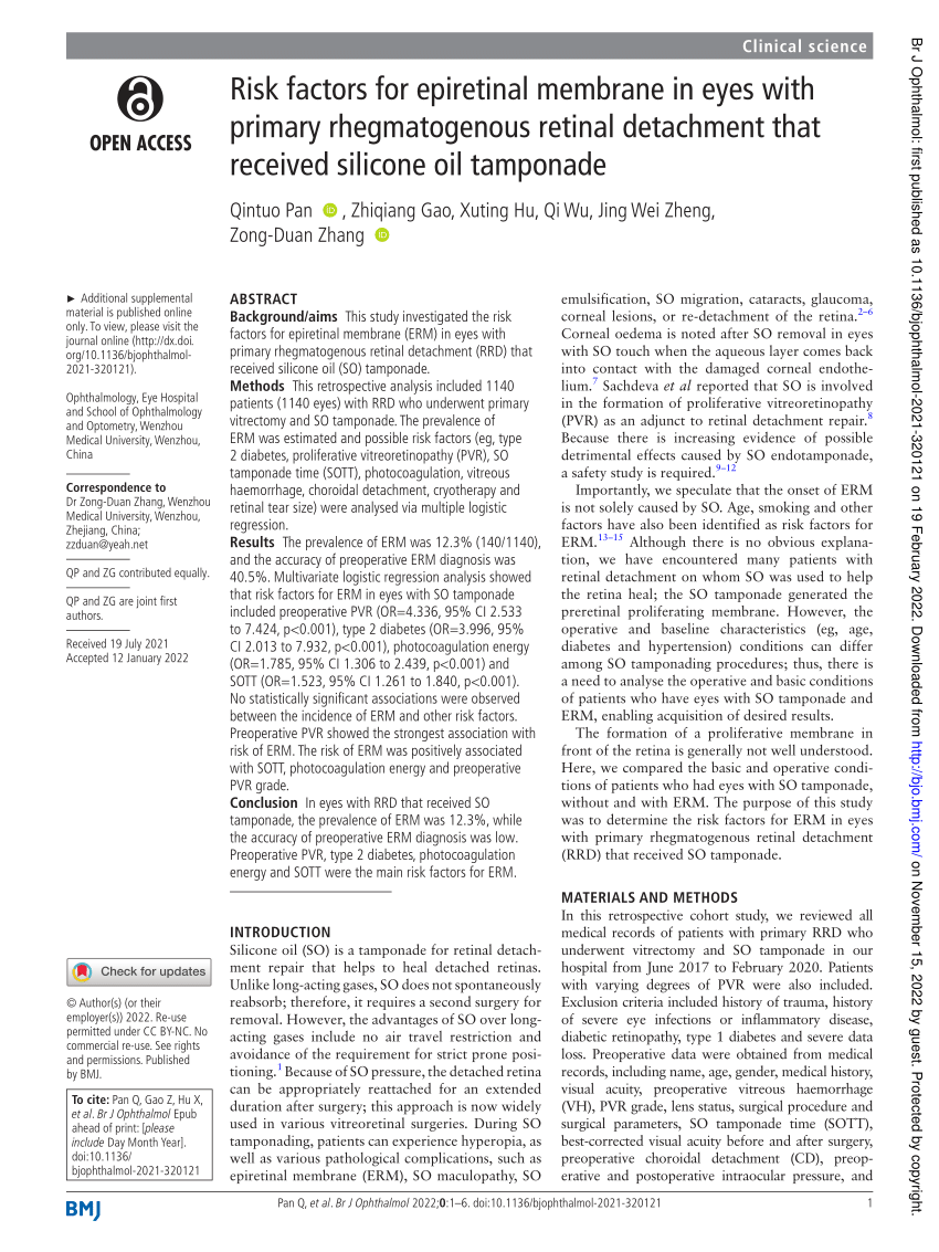 PDF Risk factors for epiretinal membrane in eyes with primary  