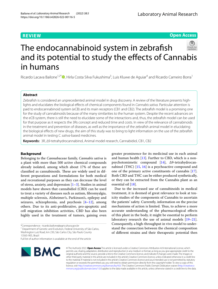 SciELO - Brasil - O sistema endocanabinóide: novo paradigma no tratamento  da síndrome metabólica O sistema endocanabinóide: novo paradigma no  tratamento da síndrome metabólica