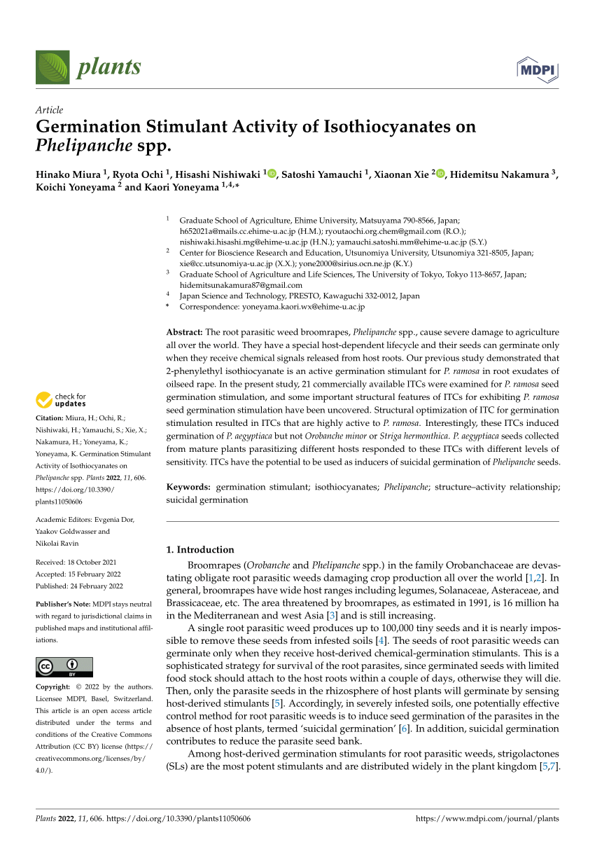 PDF) A Phelipanche ramosa KAI2 Protein Perceives enzymatically  Strigolactones and Isothiocyanates
