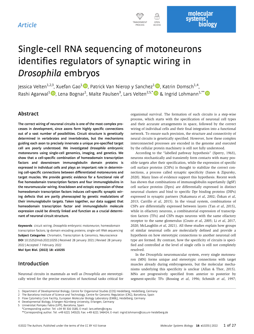 Pdf Single Cell Rna Sequencing Of