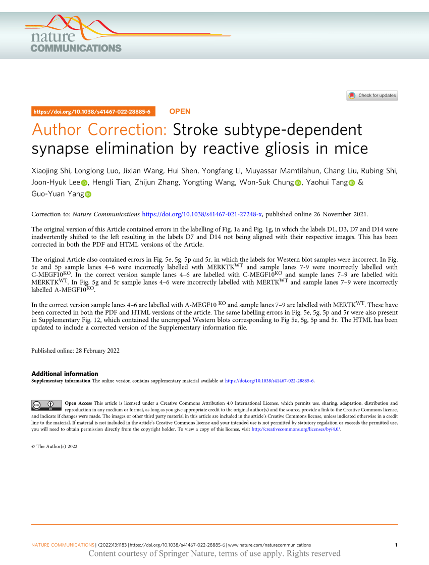 Stroke subtype-dependent synapse elimination by reactive gliosis in mice
