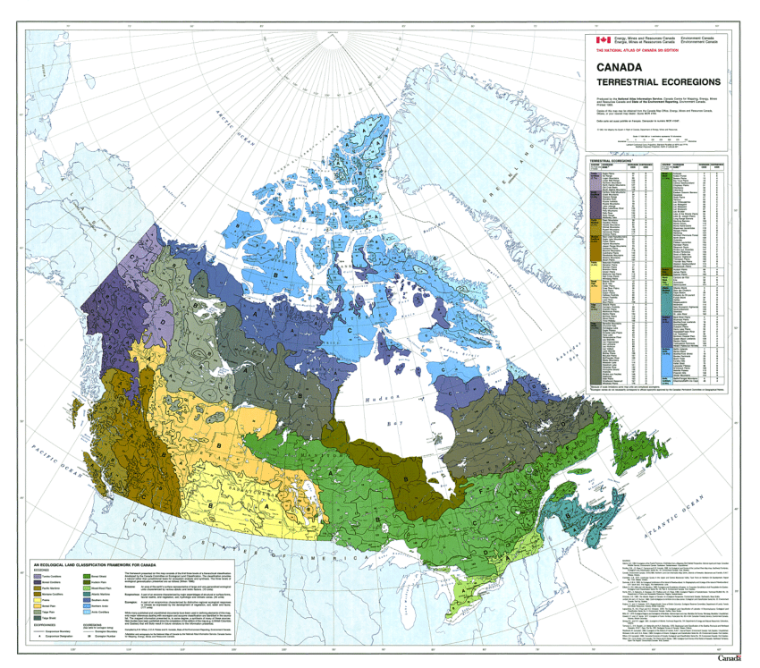 (PDF) Terrestrial Ecoregions of Canada