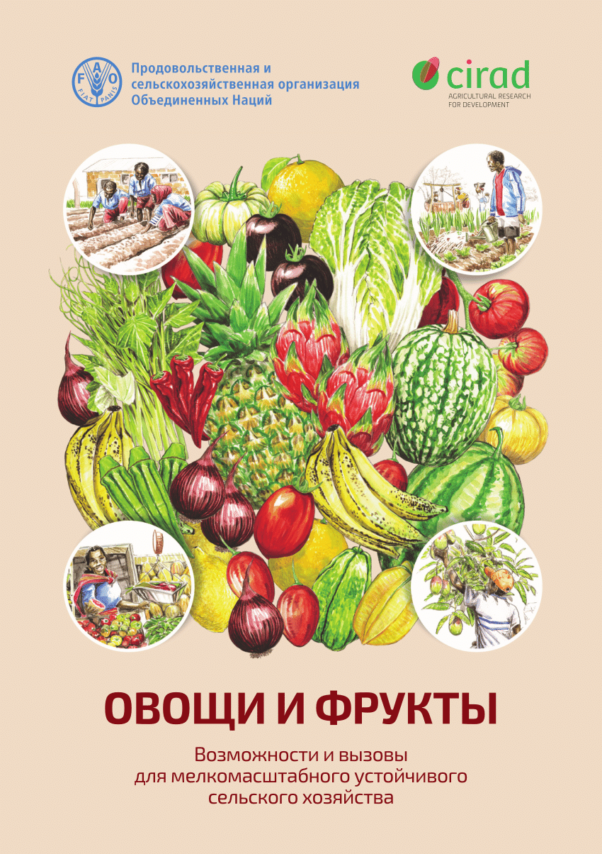 PDF) Возможности и вызовы для мелкомасштабного устойчивого сельского  хозяйства