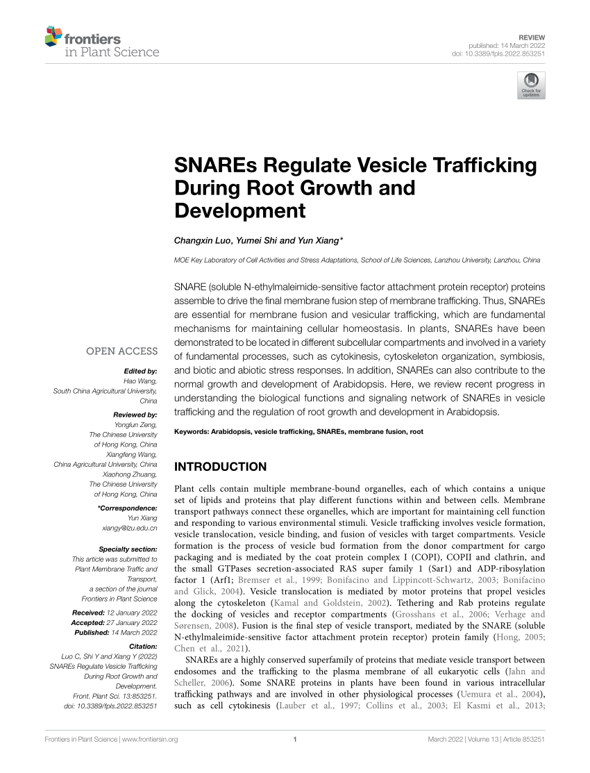 PDF) SNAREs Regulate Vesicle Trafficking During Root Growth and 