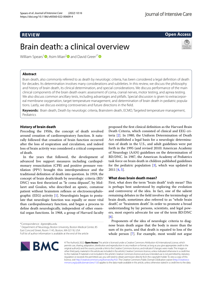 research paper on brain death