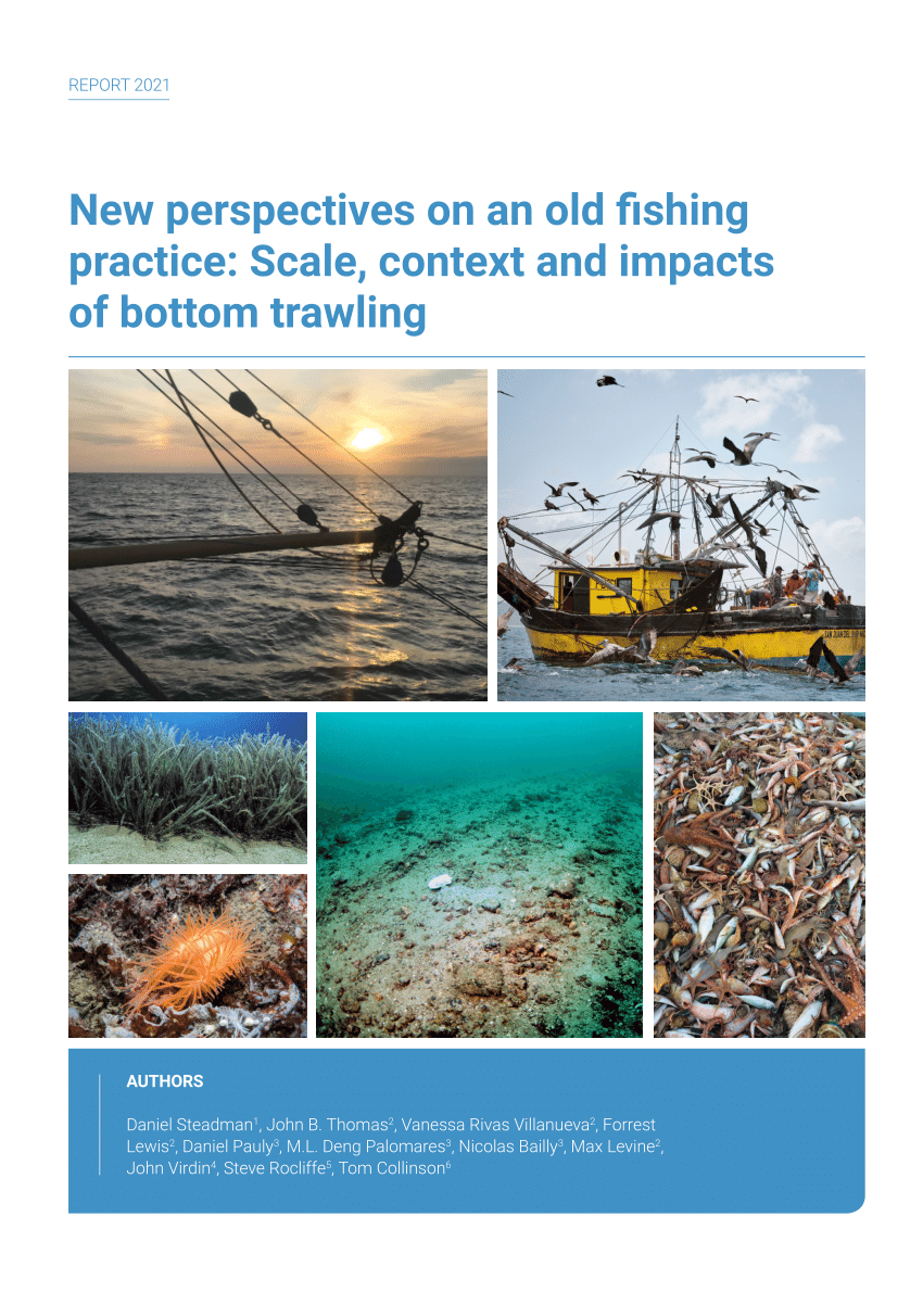 PDF) New perspectives on an old fishing practice: Scale, context and  impacts of bottom trawling