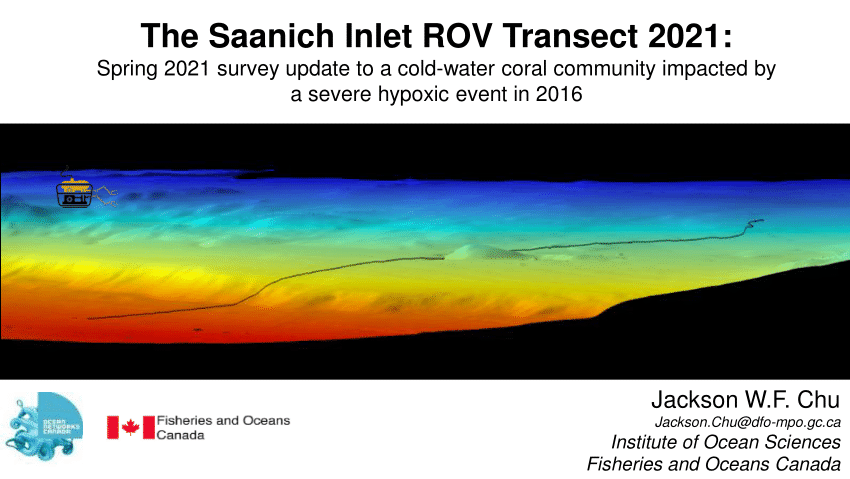 Pdf The Saanich Inlet Rov Transect Spring Survey Update To