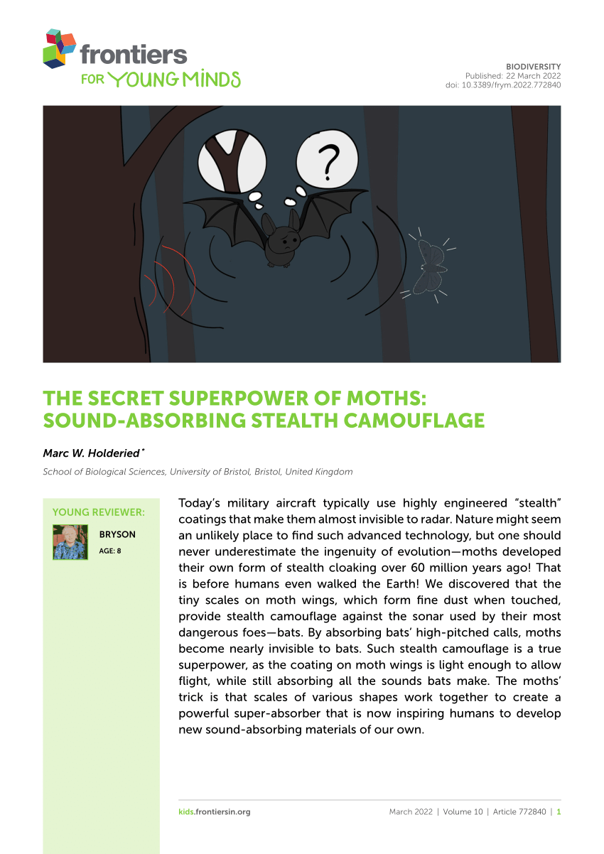 https://i1.rgstatic.net/publication/359537707_The_Secret_Superpower_of_Moths_Sound-Absorbing_Stealth_Camouflage/links/62433efc57084c718b7449bc/largepreview.png