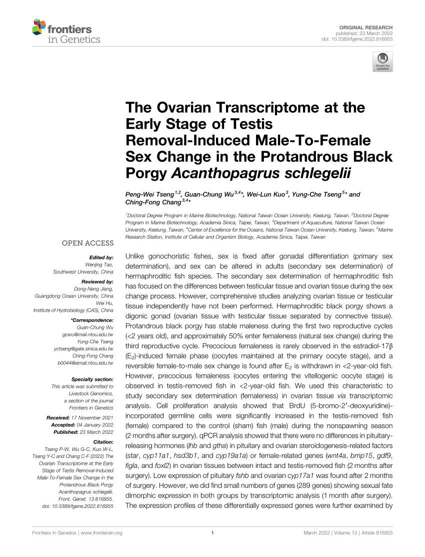 Pdf The Ovarian Transcriptome At The Early Stage Of Testis Removal