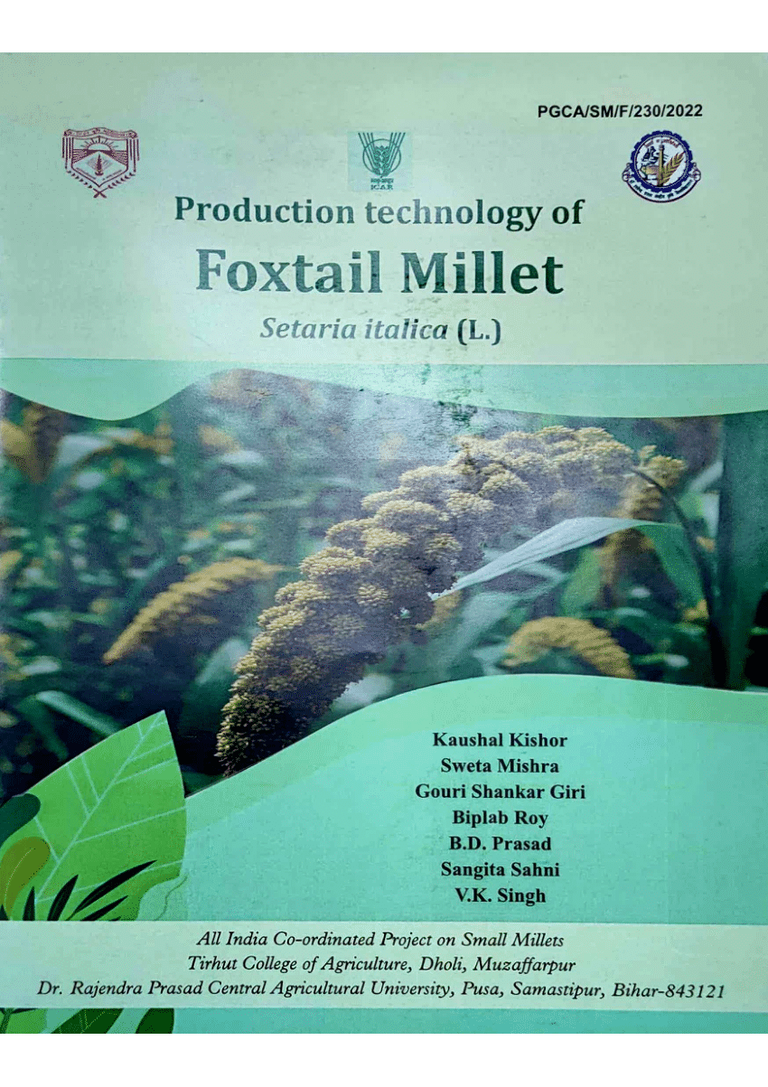 research project on millets